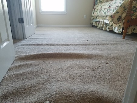 What caused my carpets to buckle and wrinkle?