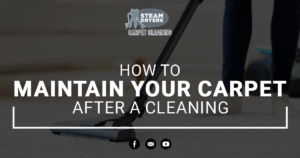 How to Maintain Your Carpet After a Professional Cleaning